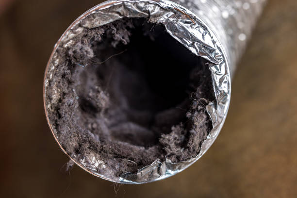 Best Air Duct Cleaning Near Me  in Kirkland, IL