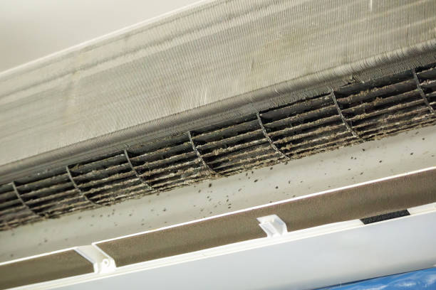 Best HVAC Air Duct Cleaning  in Kirkland, IL